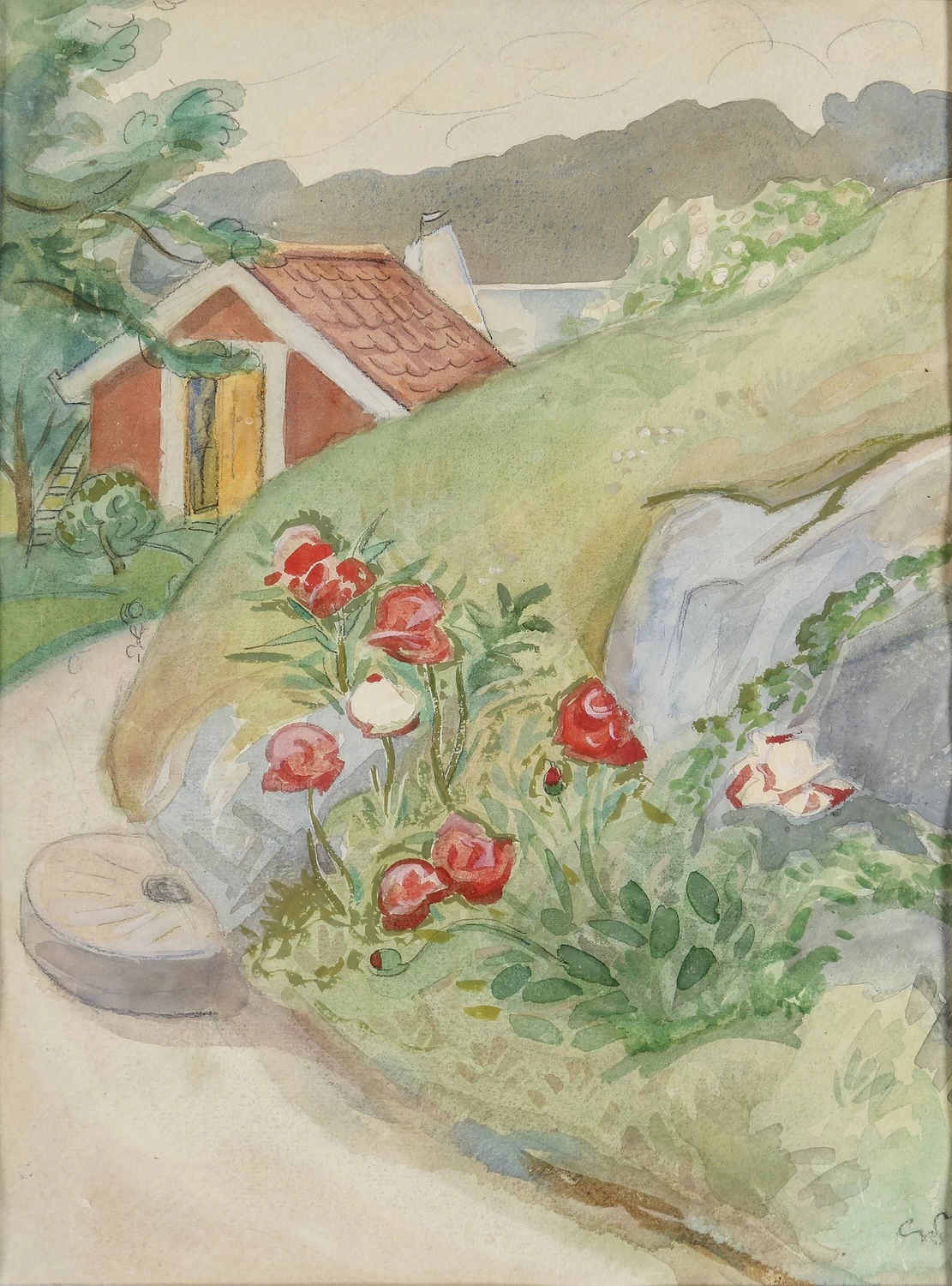 Fiori sul sentiero di casa